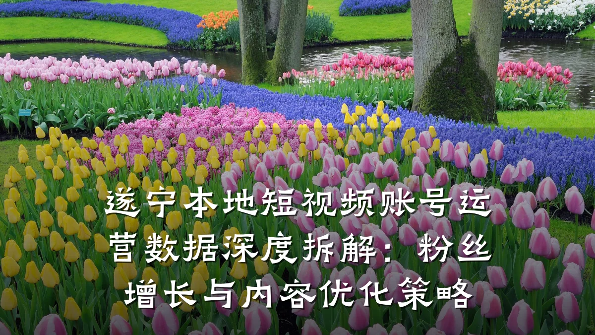 遂宁本地短视频账号运营数据深度拆解:粉丝增长与内容优化策略