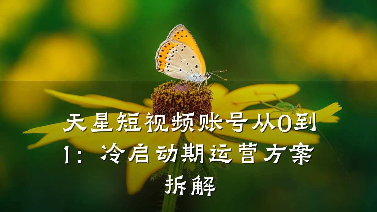 天星短视频账号从0到1:冷启动期运营方案拆解