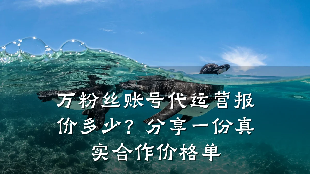 万粉丝账号代运营报价多少?分享一份真实合作价格单