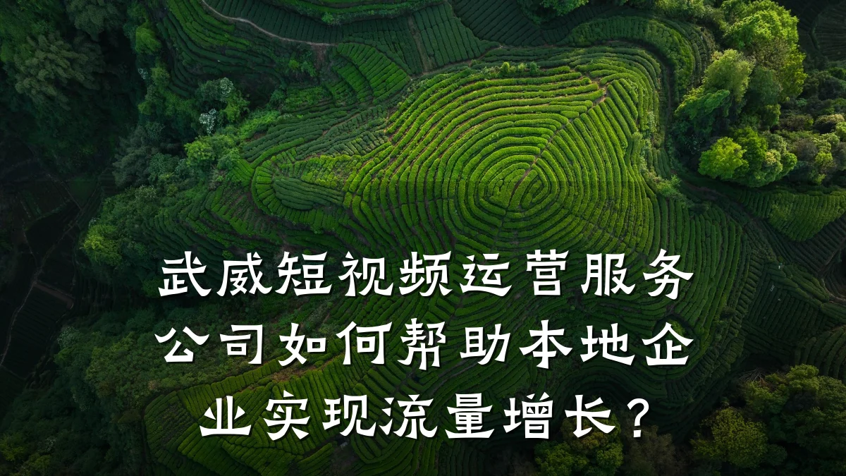 武威短视频运营服务公司如何帮助本地企业实现流量增长?