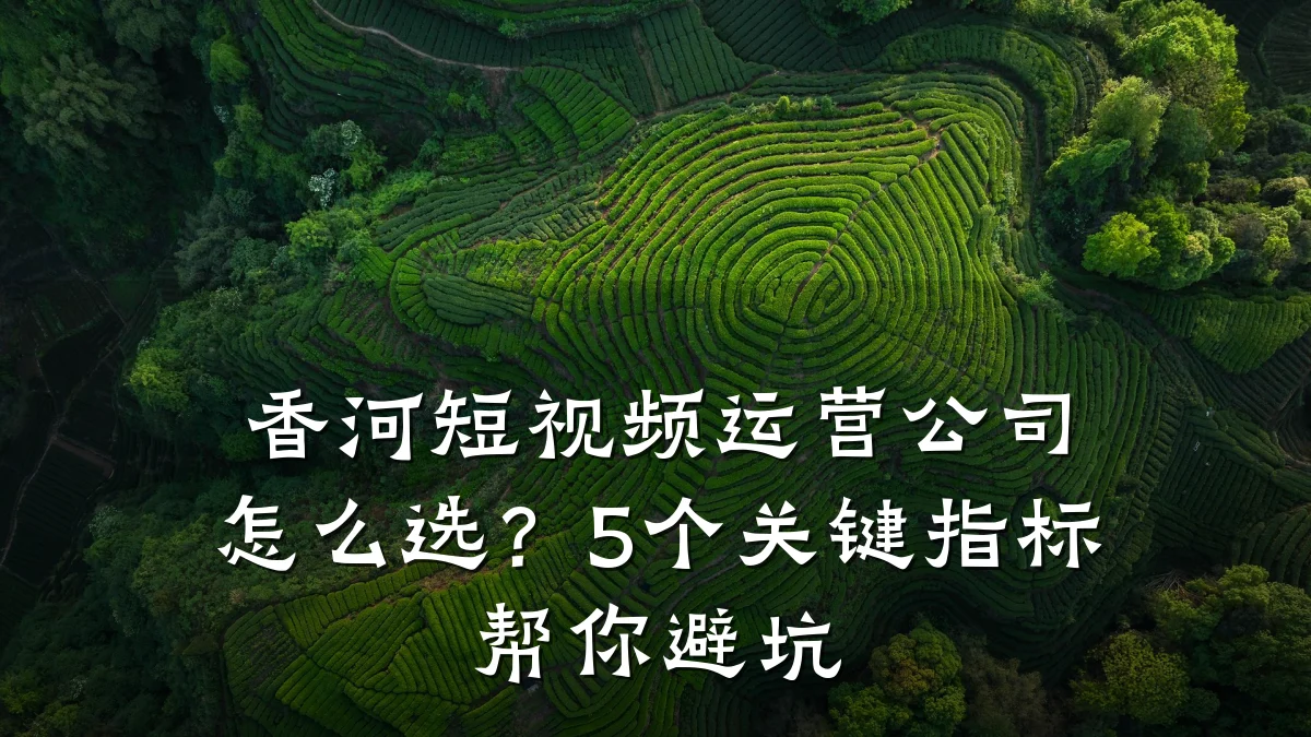 香河短视频运营公司怎么选?5个关键指标帮你避坑