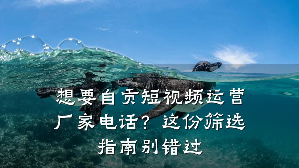 想要自贡短视频运营厂家电话?这份筛选指南别错过