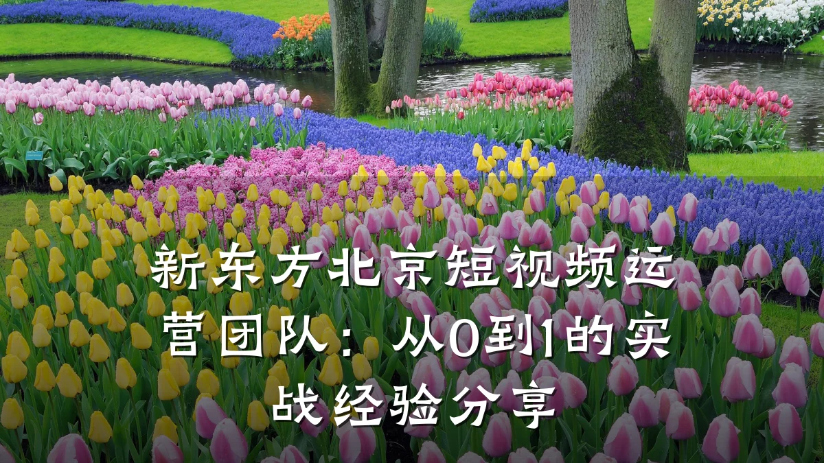 新东方北京短视频运营团队:从0到1的实战经验分享
