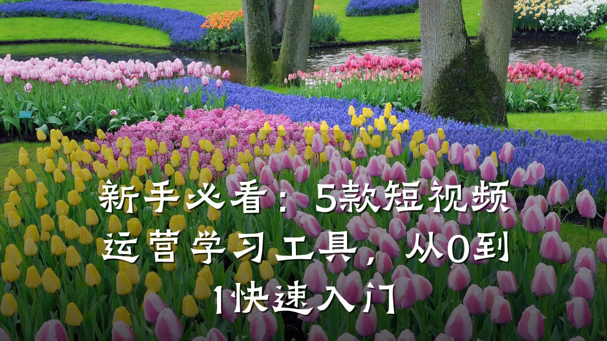 新手必看:5款短视频运营学习工具,从0到1快速入门