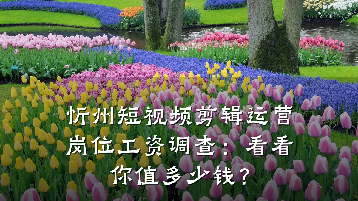 忻州短视频剪辑运营岗位工资调查:看看你值多少钱?