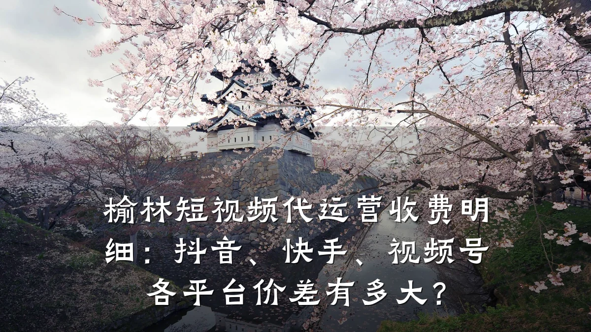 榆林短视频代运营收费明细：抖音、快手、视频号各平台价差有多大？