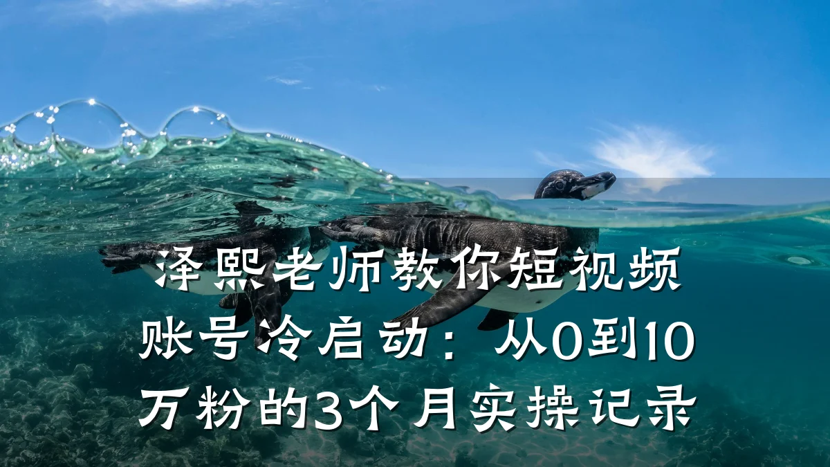 泽熙老师教你短视频账号冷启动：从0到10万粉的3个月实操记录