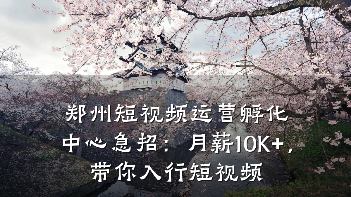 郑州短视频运营孵化中心急招:月薪10K+,带你入行短视频