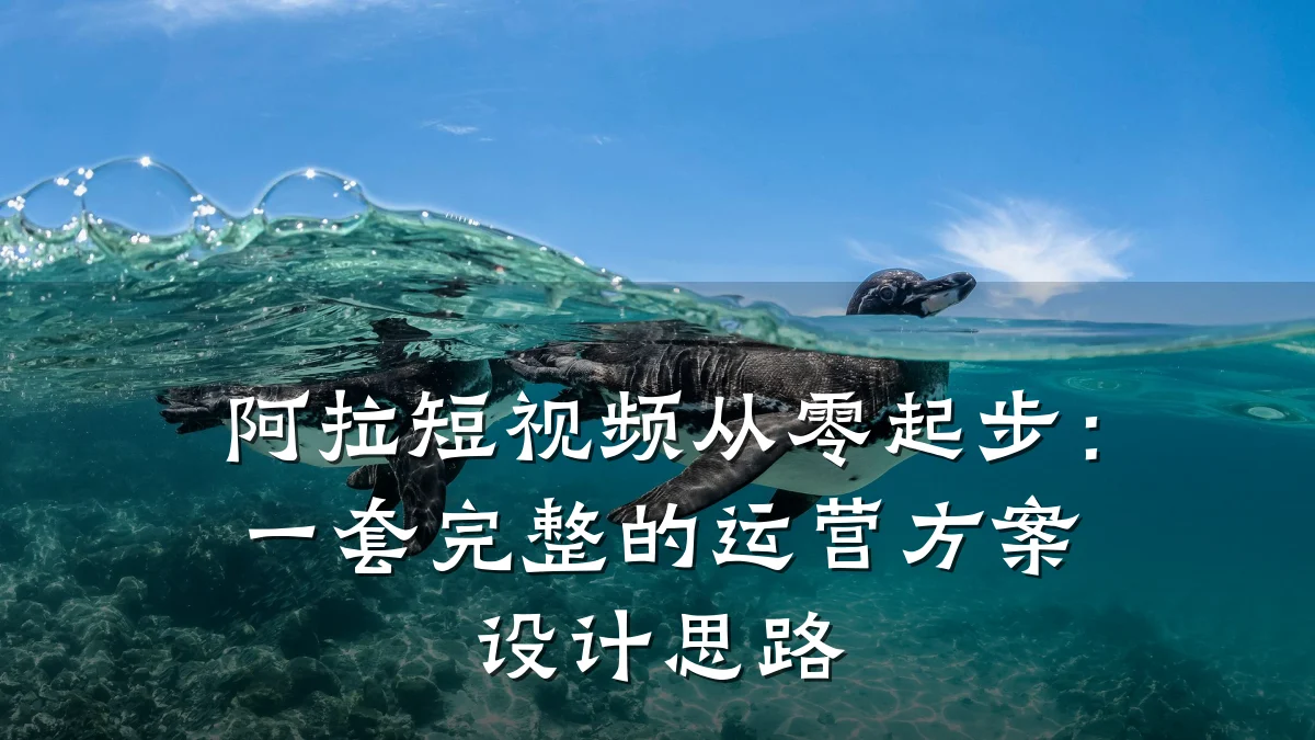 阿拉短视频从零起步:一套完整的运营方案设计思路