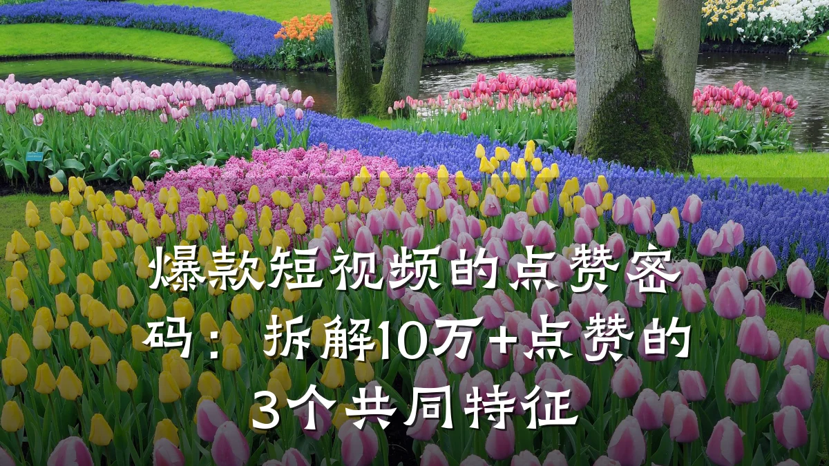 爆款短视频的点赞密码:拆解10万+点赞的3个共同特征