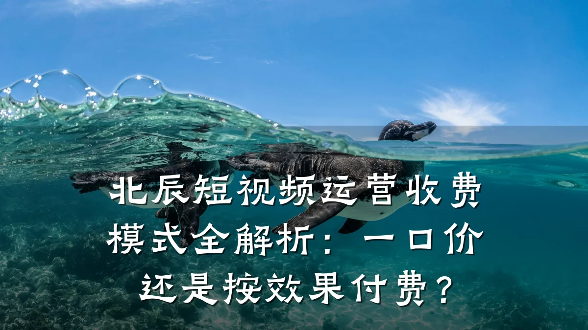 北辰短视频运营收费模式全解析:一口价还是按效果付费?