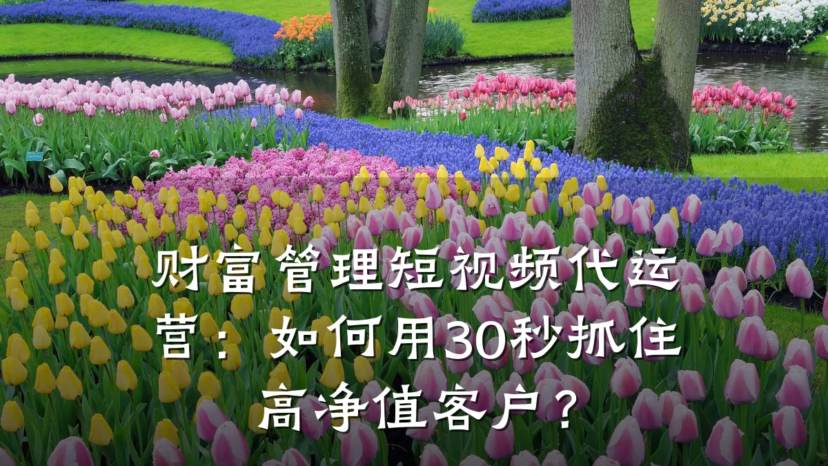 财富管理短视频代运营:如何用30秒抓住高净值客户?