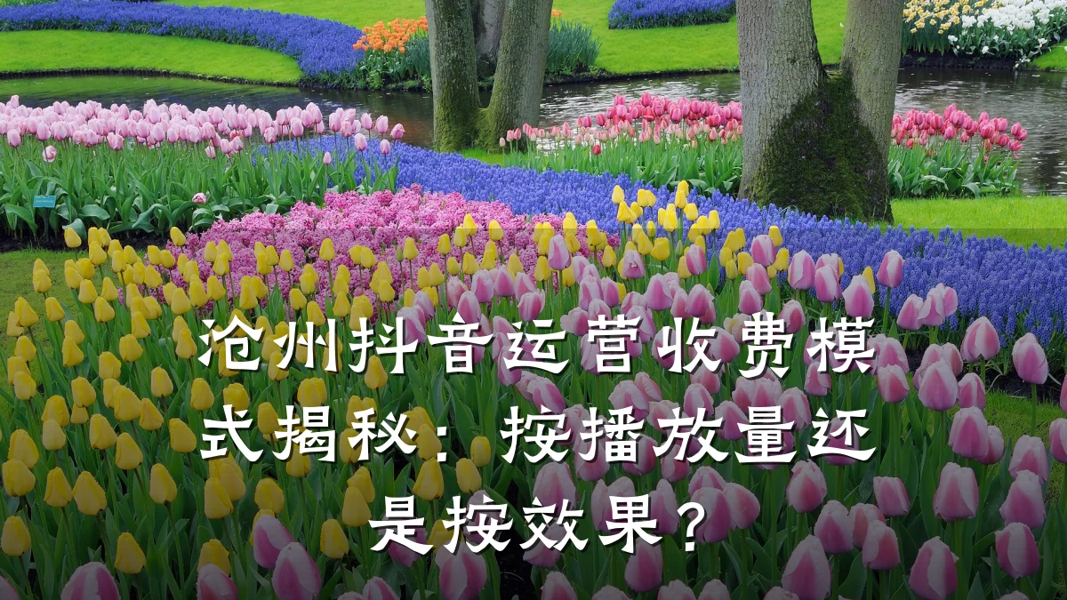 沧州抖音运营收费模式揭秘：按播放量还是按效果？