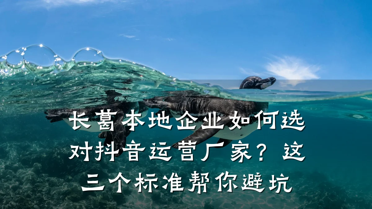 长葛本地企业如何选对抖音运营厂家?这三个标准帮你避坑