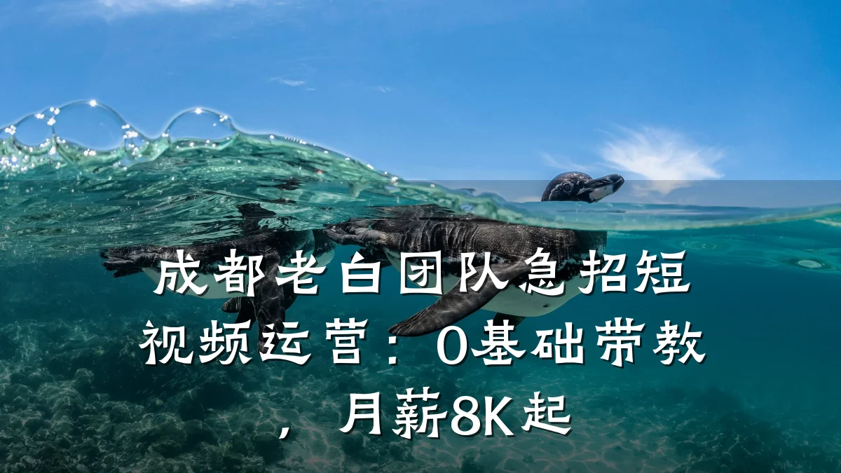 成都老白团队急招短视频运营:0基础带教,月薪8K起