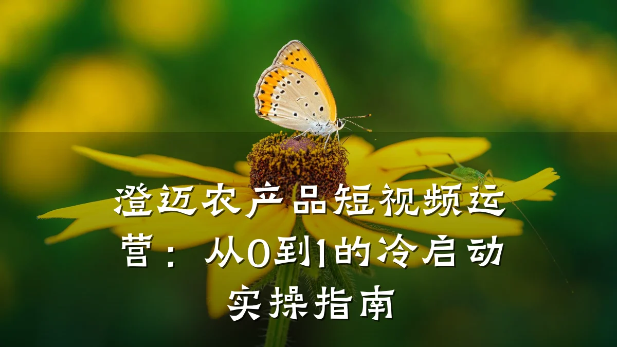 澄迈农产品短视频运营：从0到1的冷启动实操指南