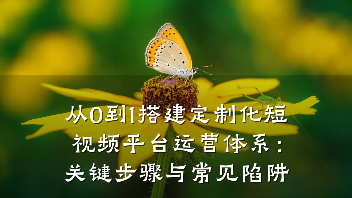 从0到1搭建定制化短视频平台运营体系:关键步骤与常见陷阱