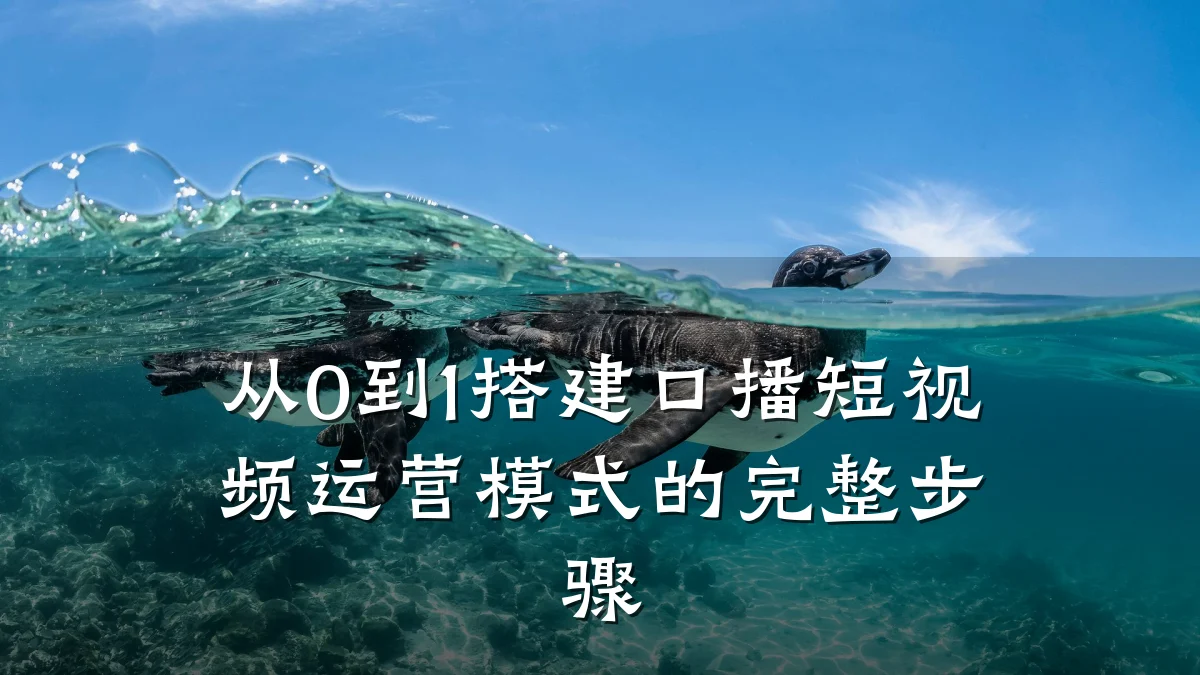 从0到1搭建口播短视频运营模式的完整步骤