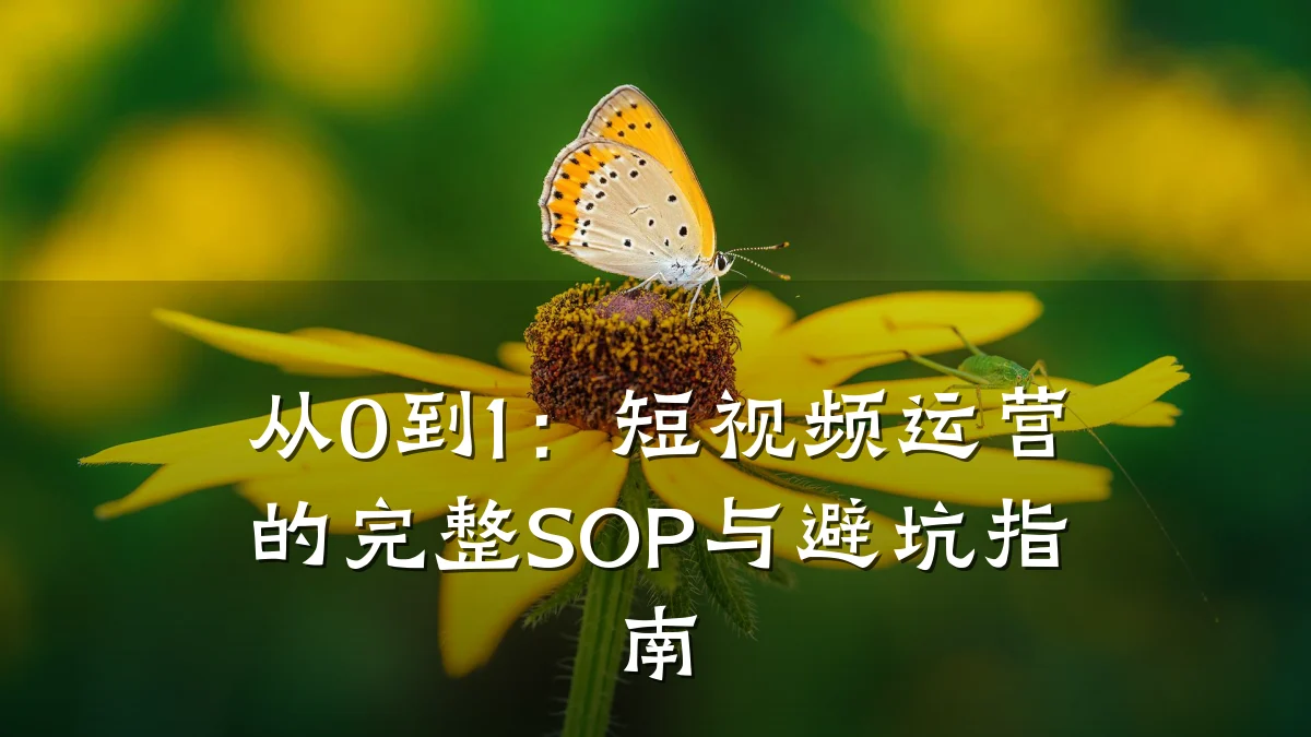 从0到1:短视频运营的完整SOP与避坑指南