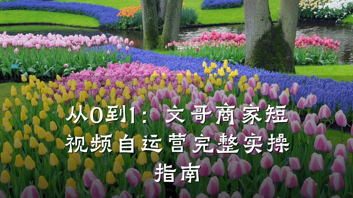 从0到1：文哥商家短视频自运营完整实操指南