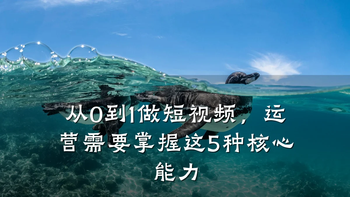 从0到1做短视频,运营需要掌握这5种核心能力