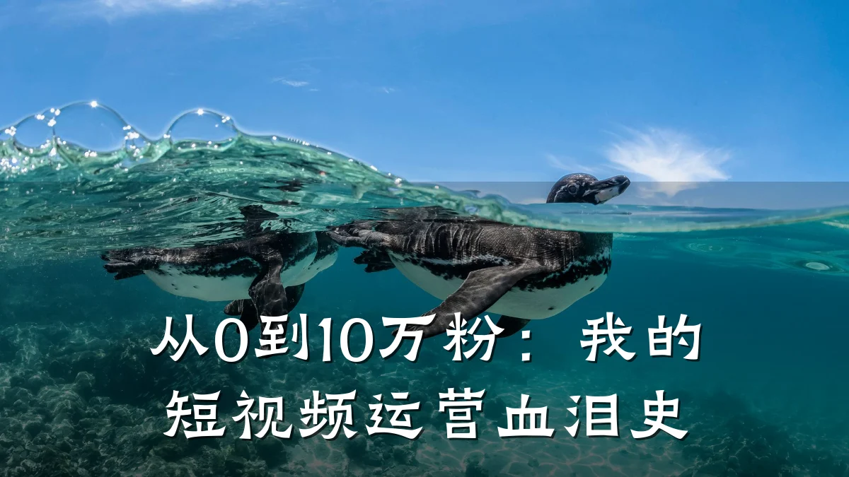 从0到10万粉:我的短视频运营血泪史