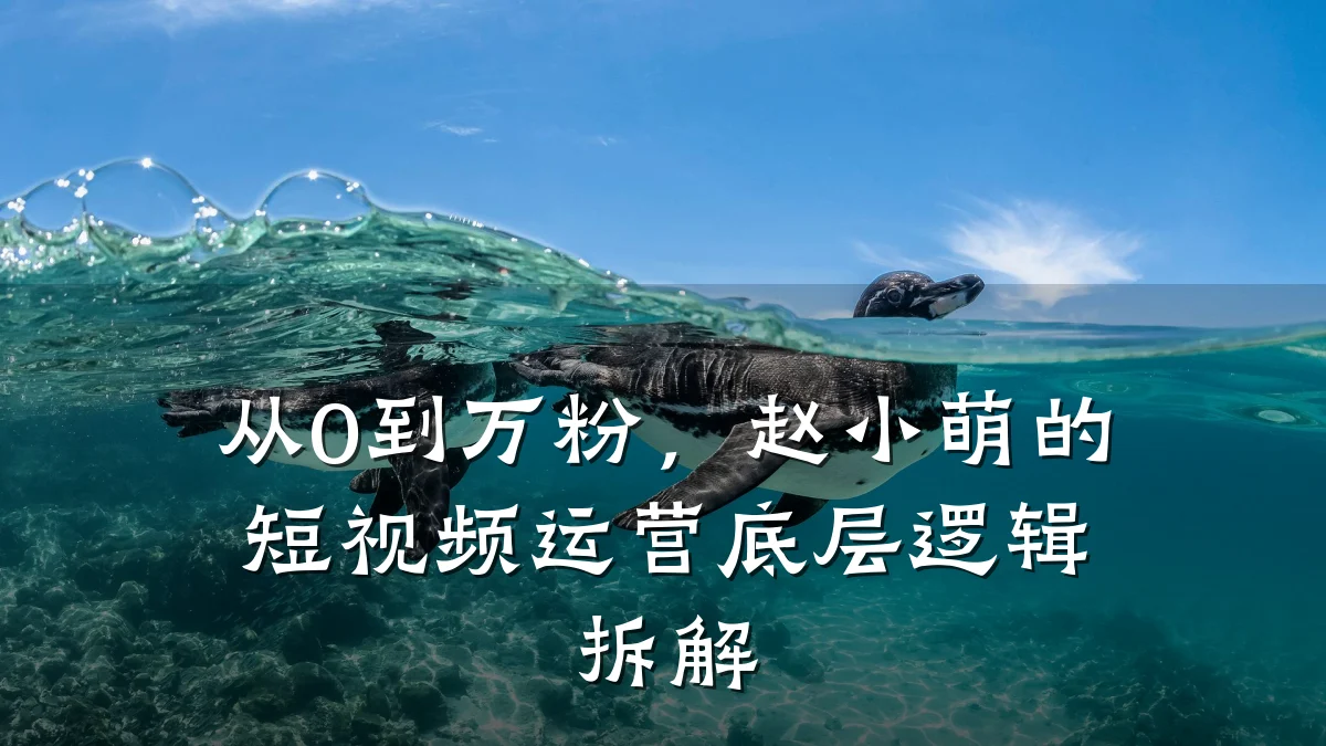 从0到万粉,赵小萌的短视频运营底层逻辑拆解