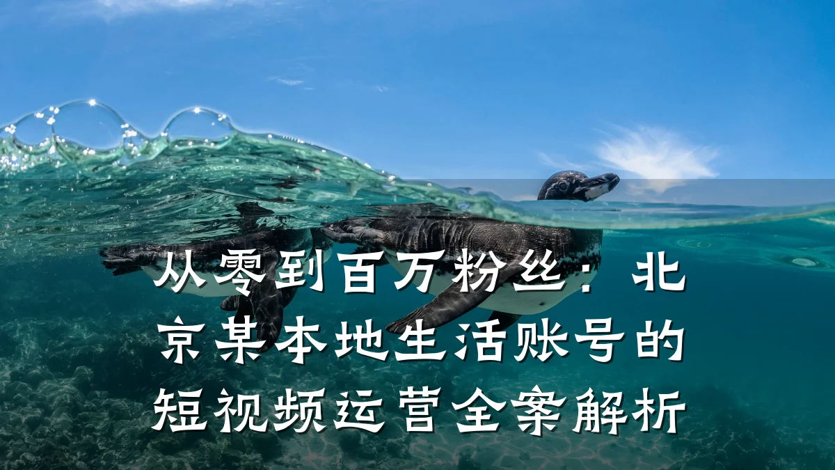 从零到百万粉丝：北京某本地生活账号的短视频运营全案解析