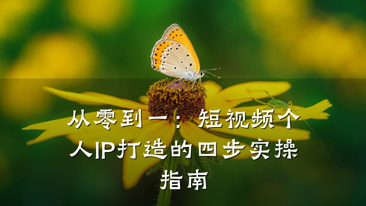从零到一：短视频个人IP打造的四步实操指南