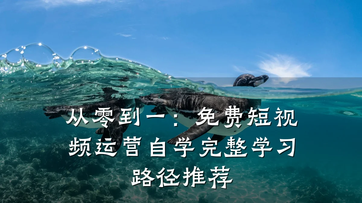 从零到一:免费短视频运营自学完整学习路径推荐