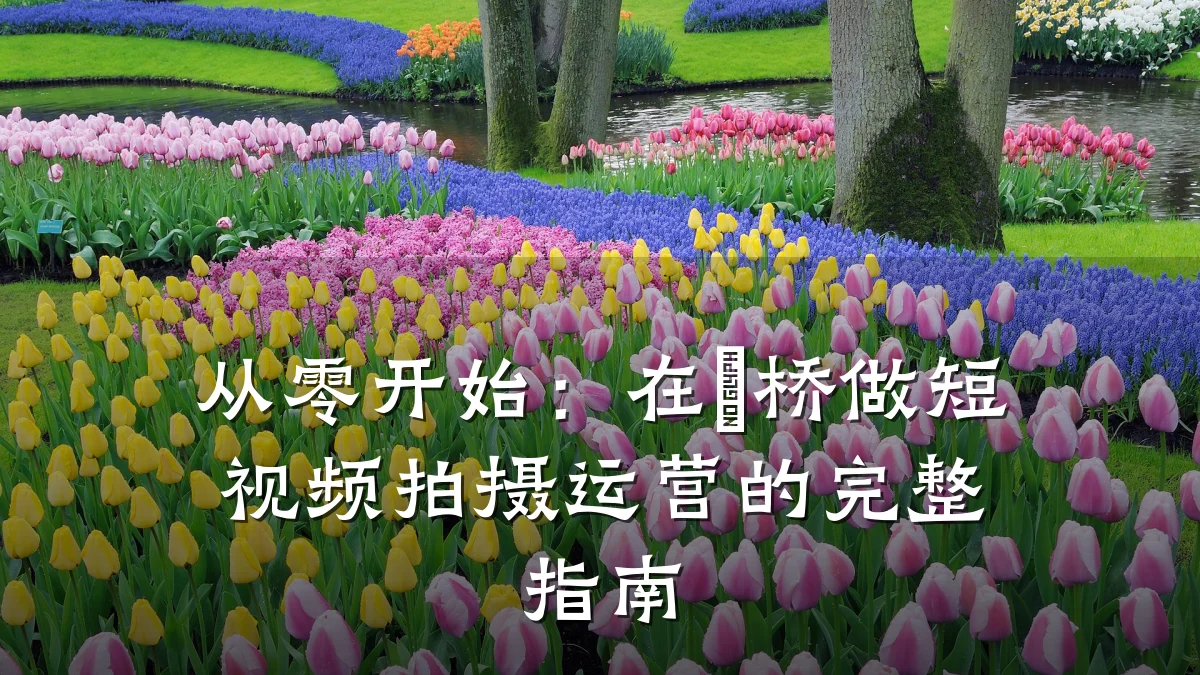 从零开始:在埇桥做短视频拍摄运营的完整指南