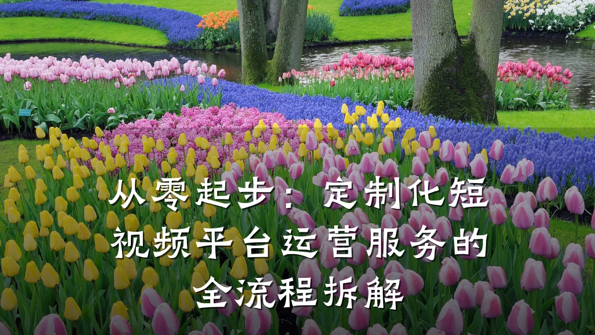 从零起步:定制化短视频平台运营服务的全流程拆解