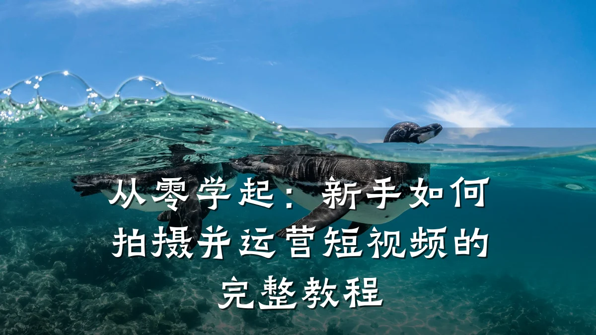 从零学起:新手如何拍摄并运营短视频的完整教程