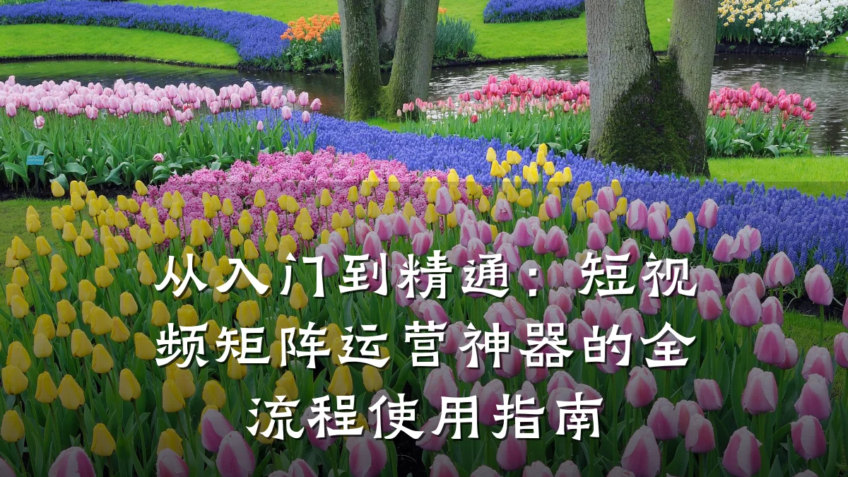 从入门到精通：短视频矩阵运营神器的全流程使用指南