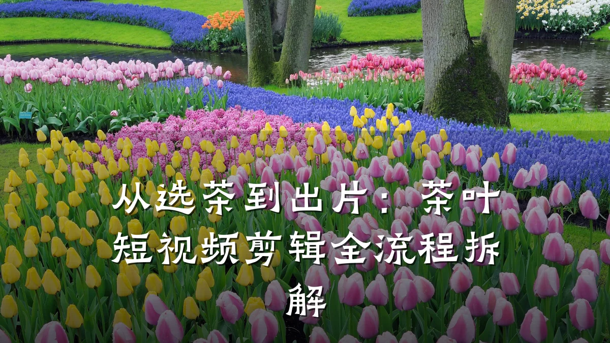 从选茶到出片:茶叶短视频剪辑全流程拆解