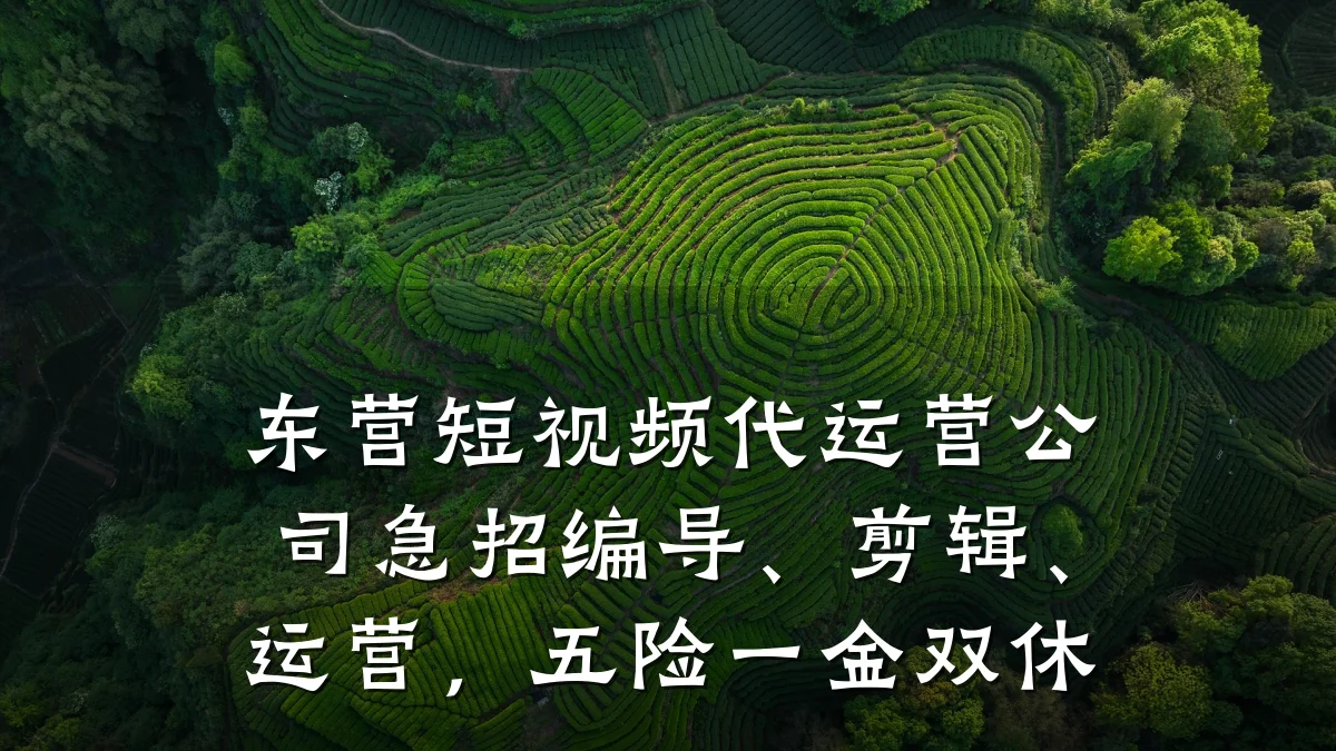 东营短视频代运营公司急招编导、剪辑、运营，五险一金双休