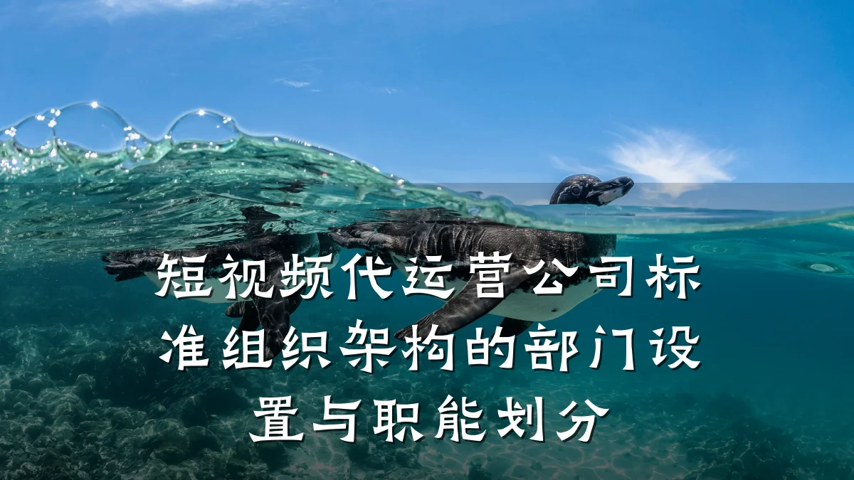 短视频代运营公司标准组织架构的部门设置与职能划分