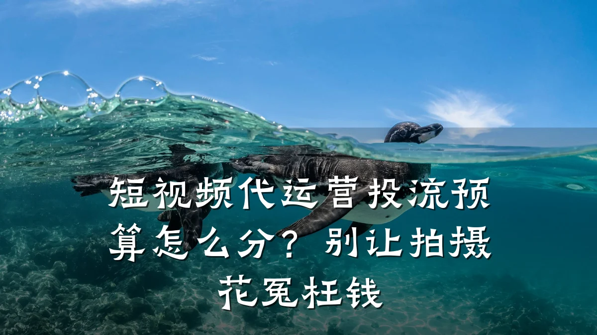 短视频代运营投流预算怎么分？别让拍摄花冤枉钱