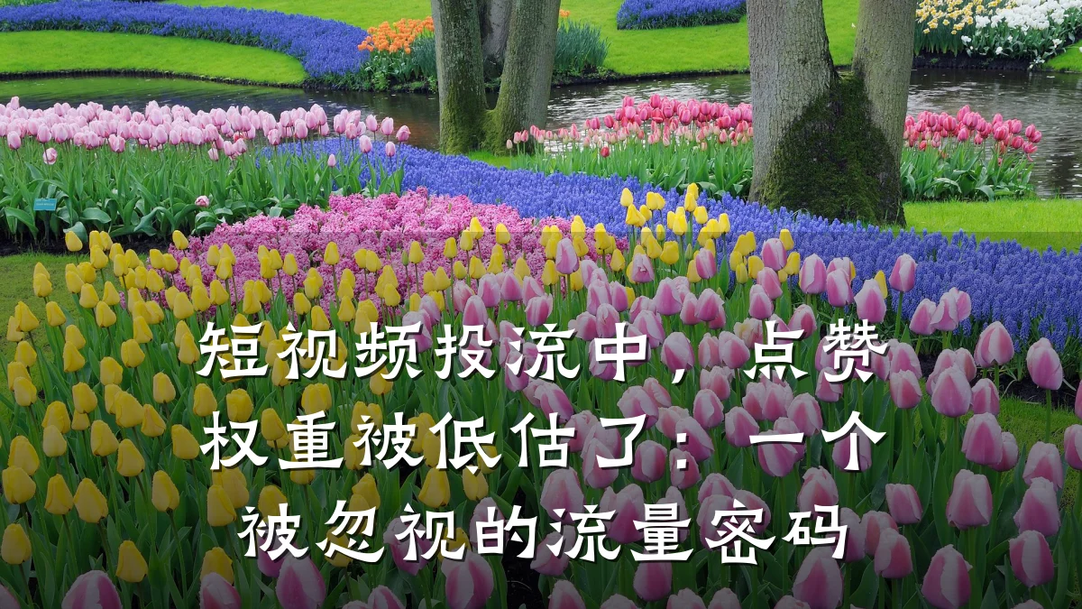 短视频投流中，点赞权重被低估了：一个被忽视的流量密码