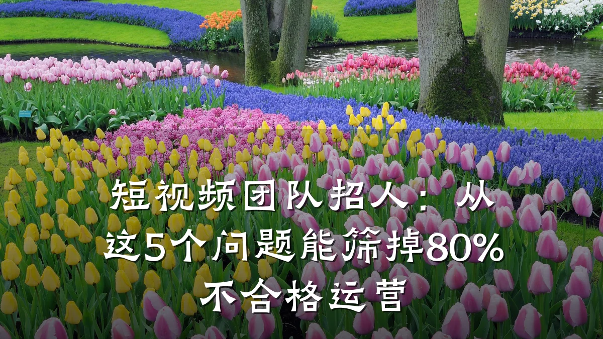 短视频团队招人:从这5个问题能筛掉80%不合格运营