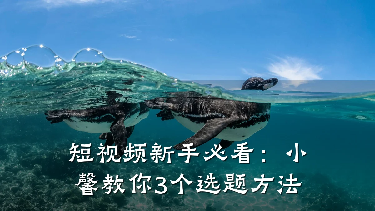 短视频新手必看：小馨教你3个选题方法