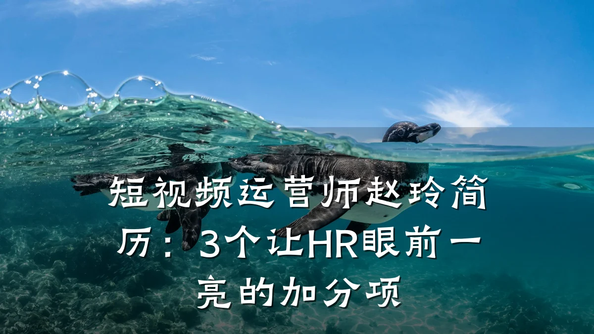 短视频运营师赵玲简历:3个让HR眼前一亮的加分项