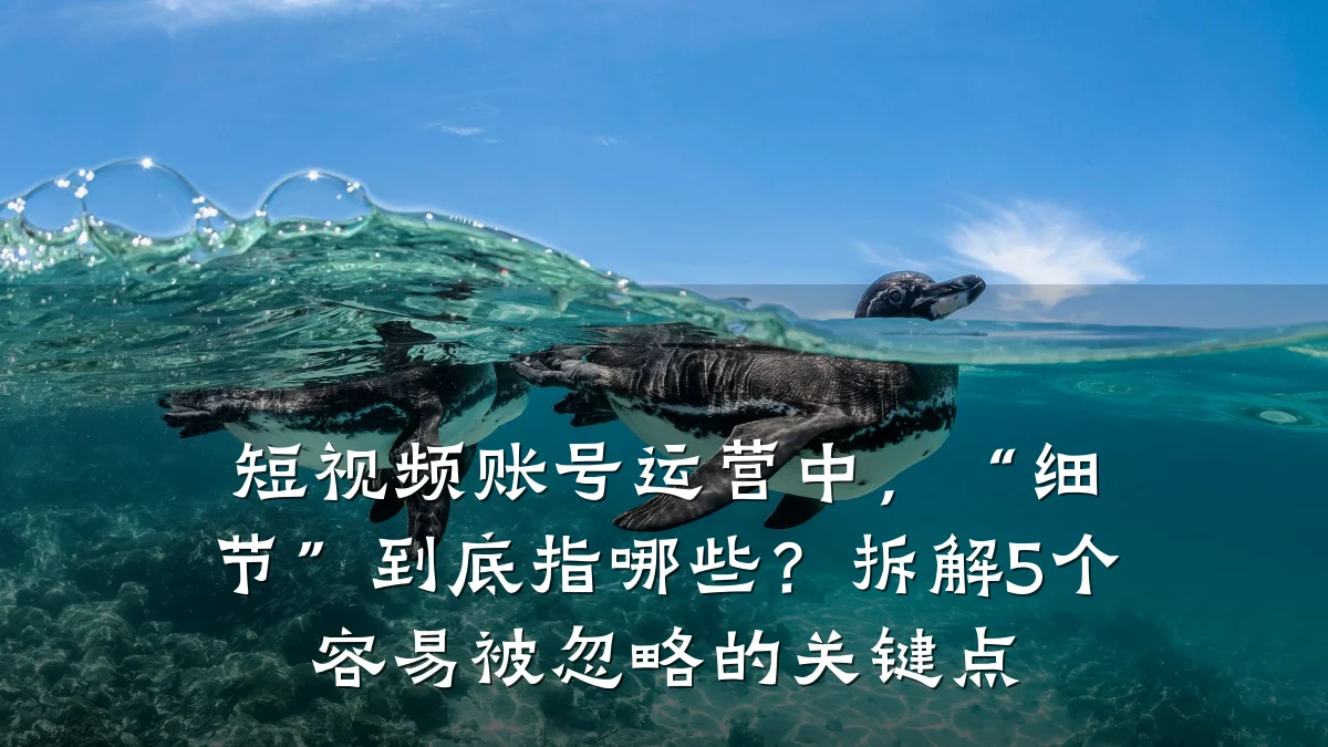 短视频账号运营中,“细节”到底指哪些?拆解5个容易被忽略的关键点