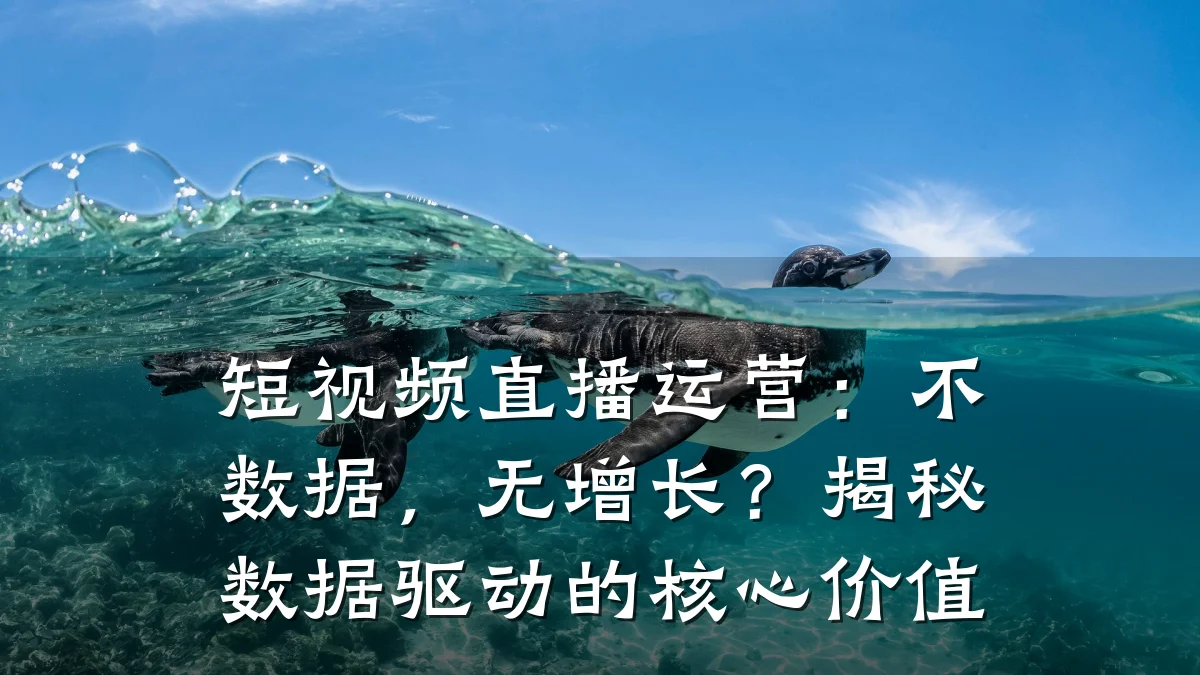 短视频直播运营:不数据,无增长?揭秘数据驱动的核心价值