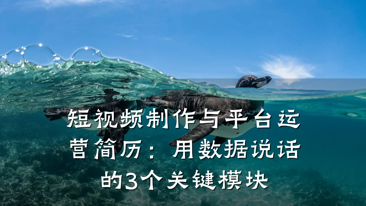 短视频制作与平台运营简历:用数据说话的3个关键模块