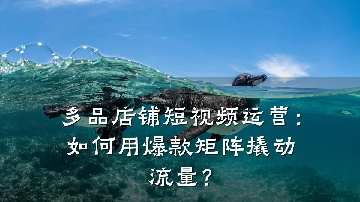 多品店铺短视频运营:如何用爆款矩阵撬动流量?