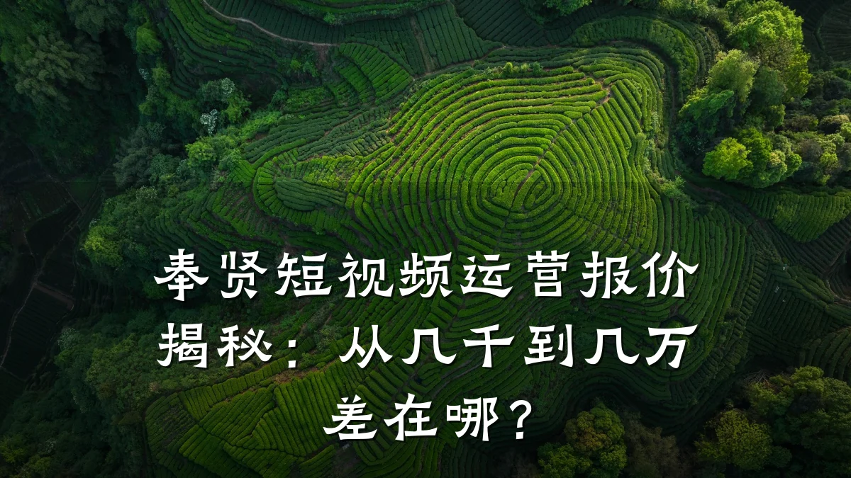 奉贤短视频运营报价揭秘：从几千到几万差在哪？
