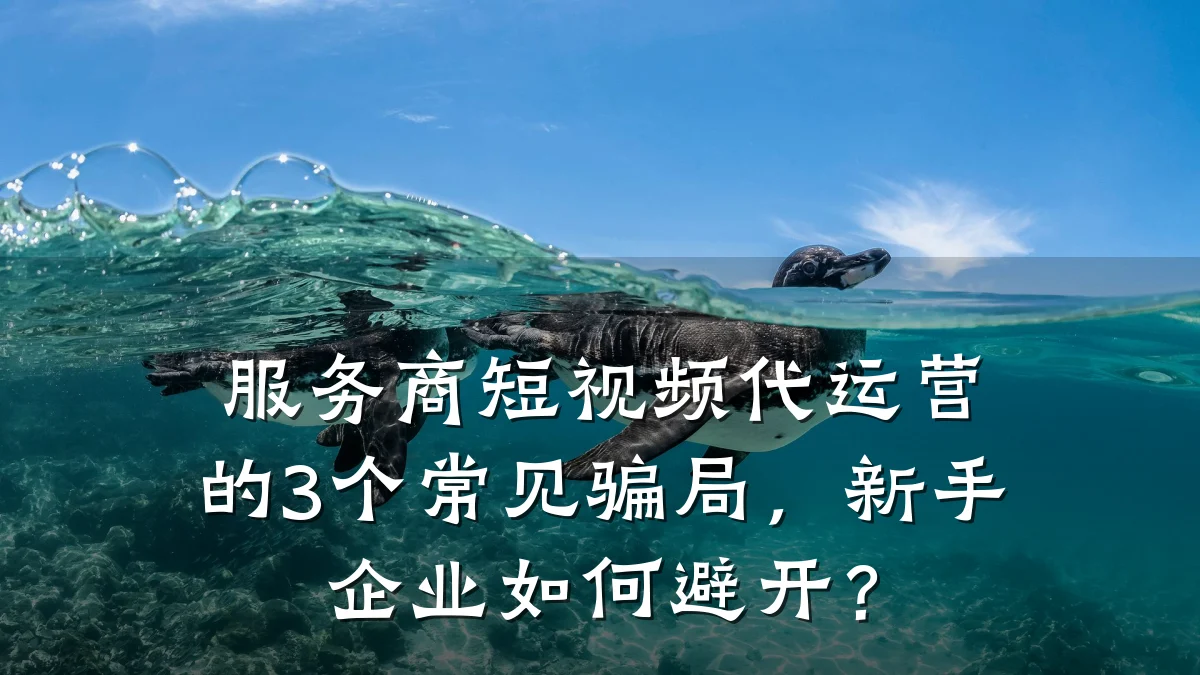 服务商短视频代运营的3个常见骗局，新手企业如何避开？