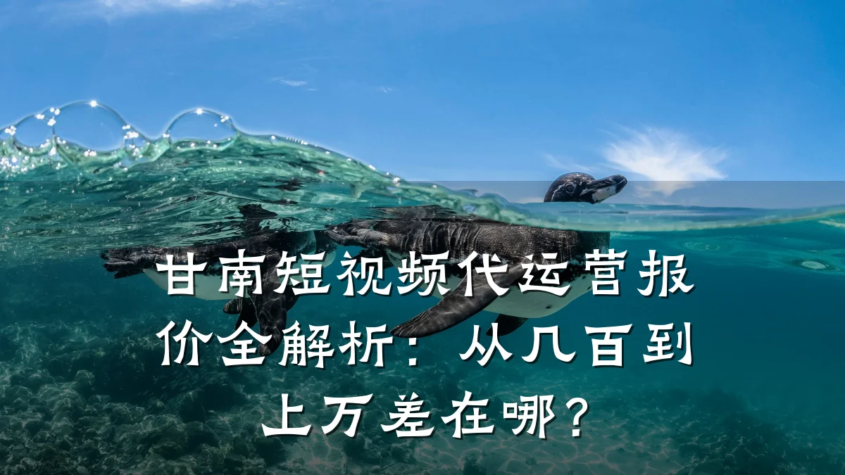 甘南短视频代运营报价全解析：从几百到上万差在哪？