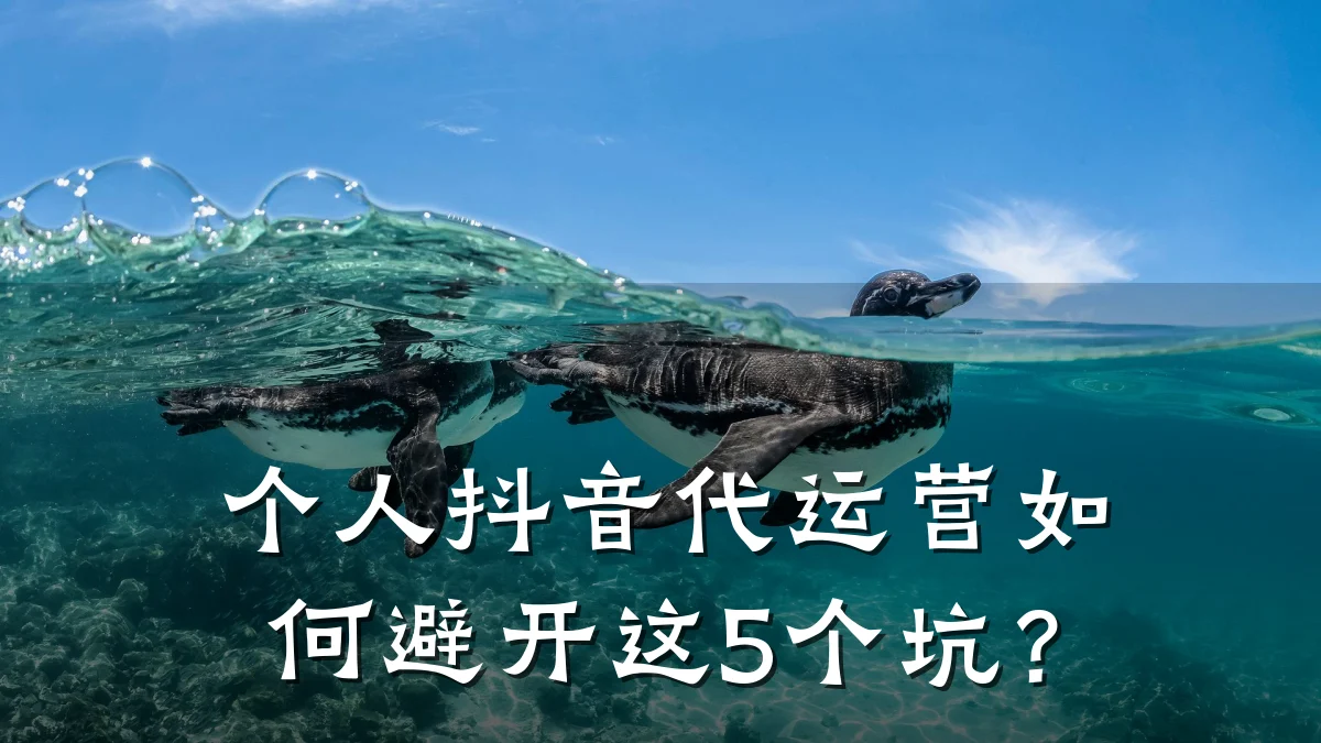 个人抖音代运营如何避开这5个坑?
